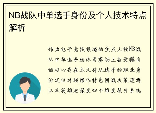 NB战队中单选手身份及个人技术特点解析